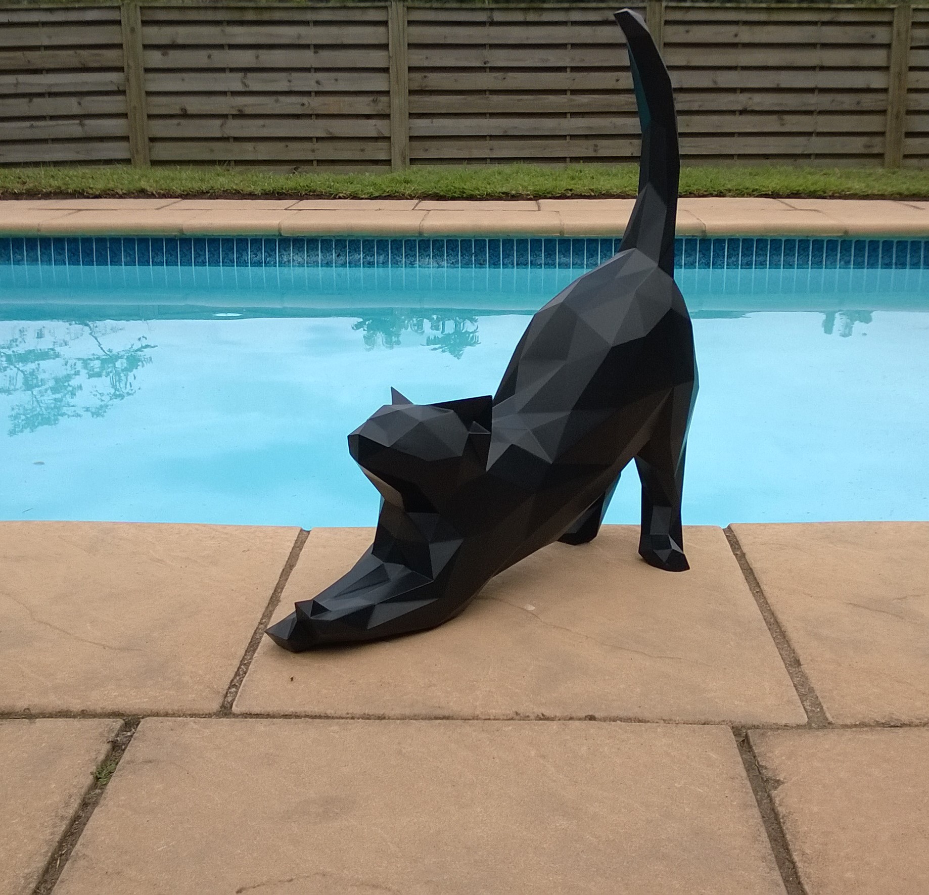 Stretching Cat Thumbnail